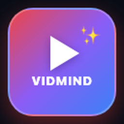 VidMind Icon